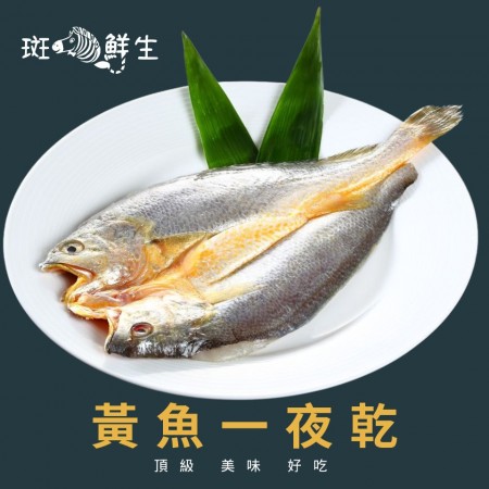 【斑馬鮮生】黃魚一夜干/黃魚/魚/清蒸/油煎/燒烤