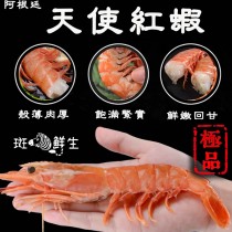 【斑馬鮮生】阿根廷天使紅蝦L1超大規格(原裝30~35尾/約2kg±10%)/天使紅蝦/阿根廷原裝進口/巨無霸紅蝦/阿根廷紅蝦