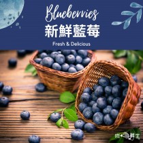 【斑馬鮮生】（冷藏免運）秘魯珍寶藍莓/新鮮藍莓125g×12盒