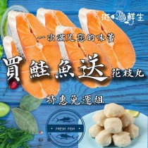 【斑馬鮮生】（免運）買鮭魚片送花枝丸（買5片鮭魚片送1包花枝丸）特惠免運組/鮭魚/魚/切片/花枝