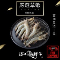 【斑馬鮮生】買10送1（免運）嚴選10P草蝦/蝦/冷凍草蝦