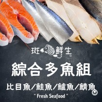 【斑馬鮮生】（免運）綜合多魚組 (比目魚/鮭魚/鱸魚/鯖魚) 