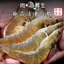 【斑馬鮮生】冷凍生白蝦(500g)/鮮凍白蝦 海鮮 蝦