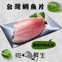 【斑馬鮮生】嚴選新鮮台灣鯛魚片（免運組）/鯛魚/魚/切片/魚片