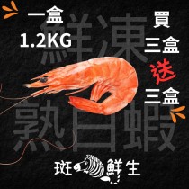 【斑馬海鮮】（免運）特惠/極品鮮甜冷凍熟白蝦(買三送三)/白蝦/蝦/熟白蝦