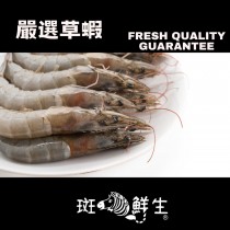 【斑馬鮮生】嚴選草蝦 海鮮 蝦