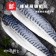 【斑馬鮮生】春夏輕食組合（免運組）鱸魚片x8包+薄鹽鯖魚片Sx8包/輕食組首選